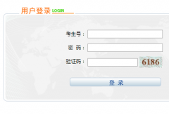 ���ĸ߿�����ϵͳ���:https;//www.nxjyks.cn
