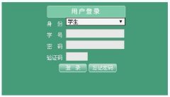 �人������ѧ�������ϵͳsso.jwc.whut.edu.cn