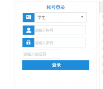 ����ѧԺ����ϵͳ��:http://jwgl.llhc.edu.cn:8003/