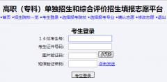 http://wsbm.sdzk.cn/gzdz/ɽ����ְ�����������ۺ����������־Ըƽ̨